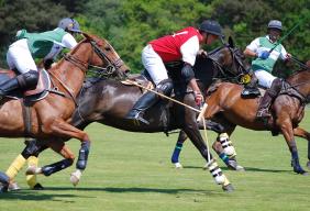 Hospitality Action to host Charity Polo Day in Cheshire