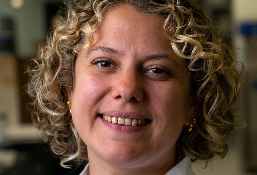 Sally Abé takes over as Chair of Kitchen examiners 