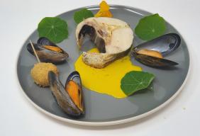 Direct Seafoods expands recipe range for Seafood Week 