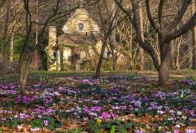 Hospitality Action returns to Highgrove gardens