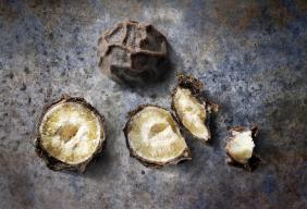 Chefs admit lack of knowledge about black pepper despite its frequent use