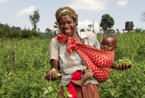 Sporty or brainy, Farm Africa needs you