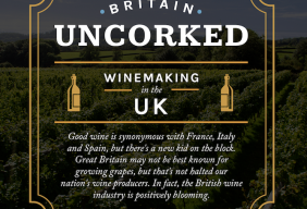 Sykes Cottages infographic details flourishing British wine industry