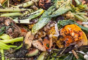 UK food waste policy conference