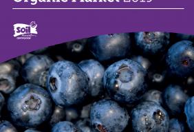 Soil Association foodservice organic report