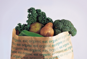 Plant-based diet risks worsening brain health, warns nutrition journal