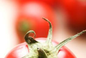Foodservice Price Index reveals increase in prices