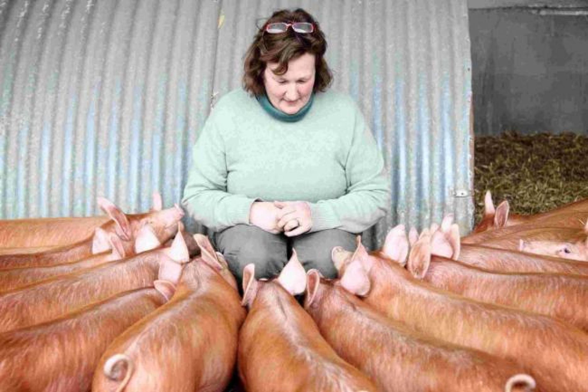 Caroline Wheatley-Hubbard, Boyton Farm owner and chairman