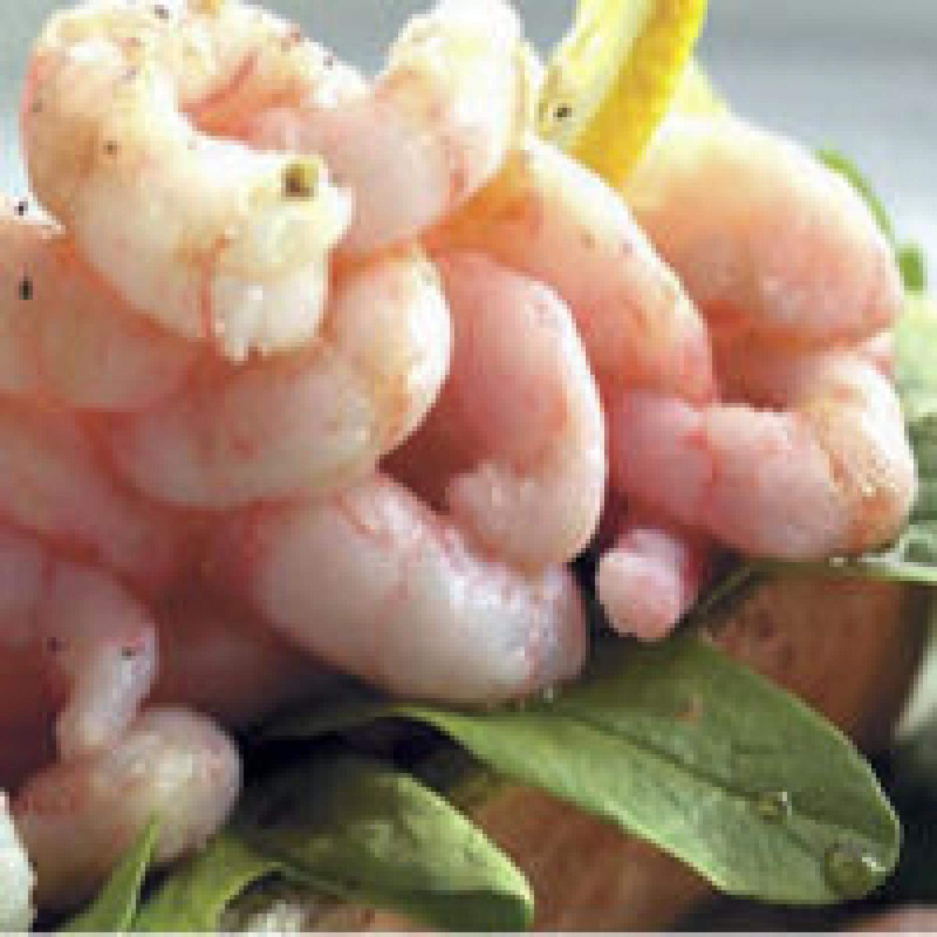 Price of prawns has increased by over 40% Premiumisation prawns Royal Greenland call chefs