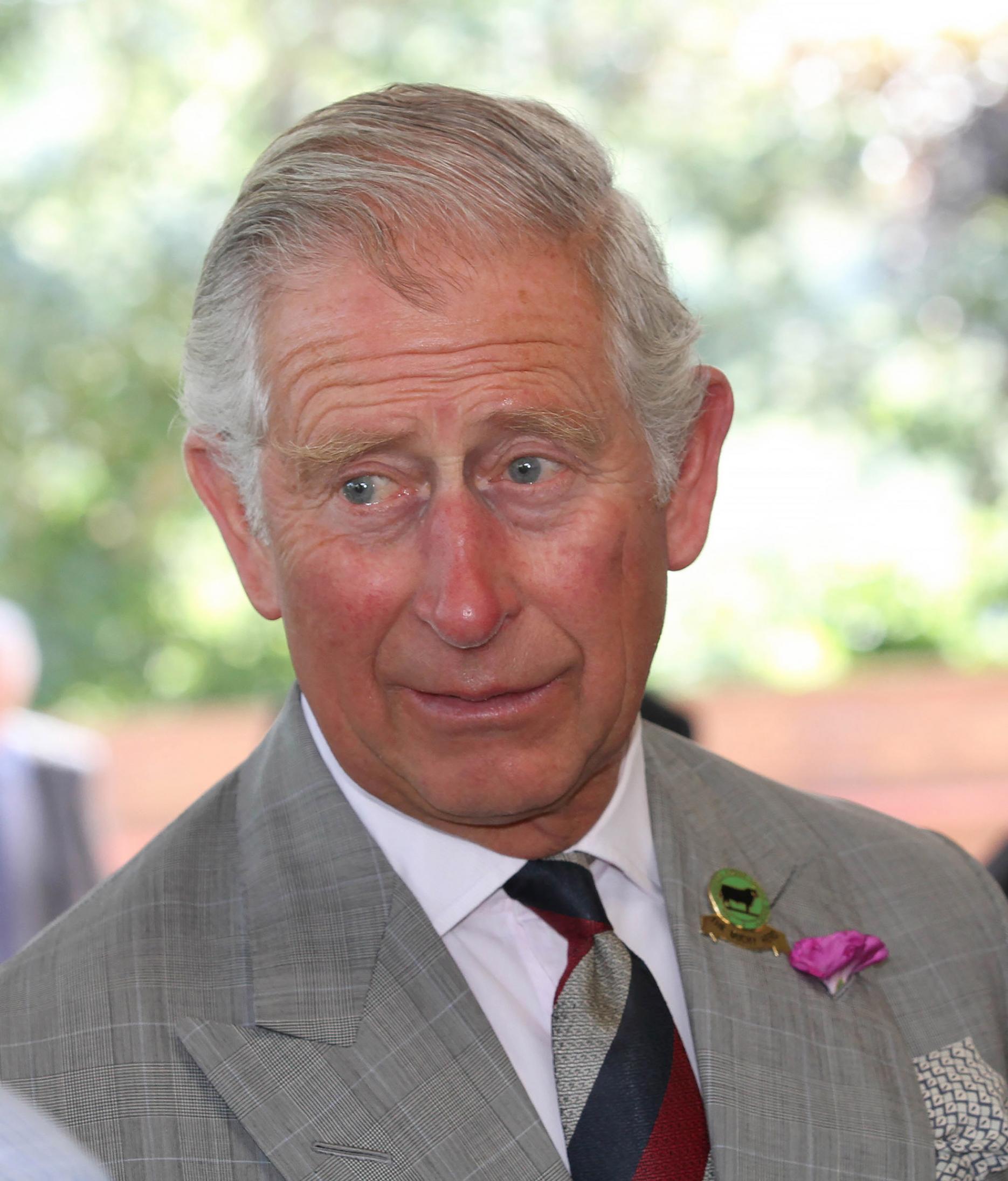 Prince Charles extends patronage