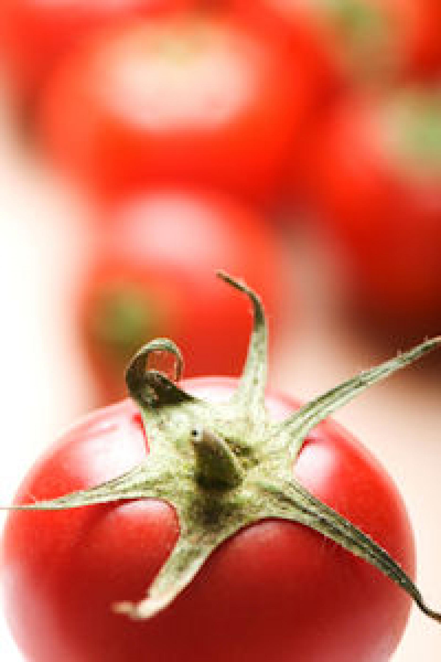 Foodservice Price Index reveals increase in prices Foodservice Price Index reveals increase in prices